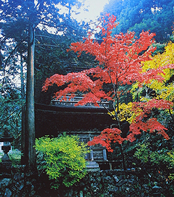 ���E�R�@������